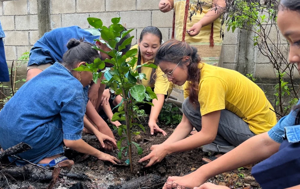 โพสต์ทดสอบ